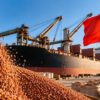 Brasil salta de 105 toneladas para recorde histórico na exportação de sorgo