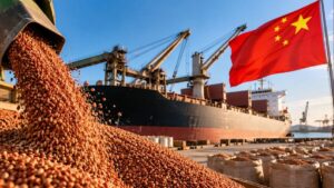 Brasil exporta quase 791 mil toneladas de sorgo até setembro » Portal PaNoRaMa