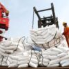 Empresas de fertilizantes pedem R$ 2,9 bilhões no Brasil Soberano