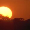 Crise climática afeta lavouras brasileiras e exige mudança urgente