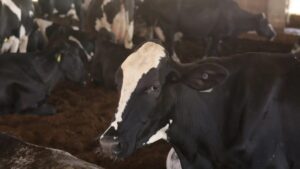 PIB do agro do Ceará cresce 14% no 2º trimestre, o dobro do registrado no Brasil