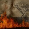 Brasil registra 64 mil focos de incêndio em 48 horas e ameaça safra