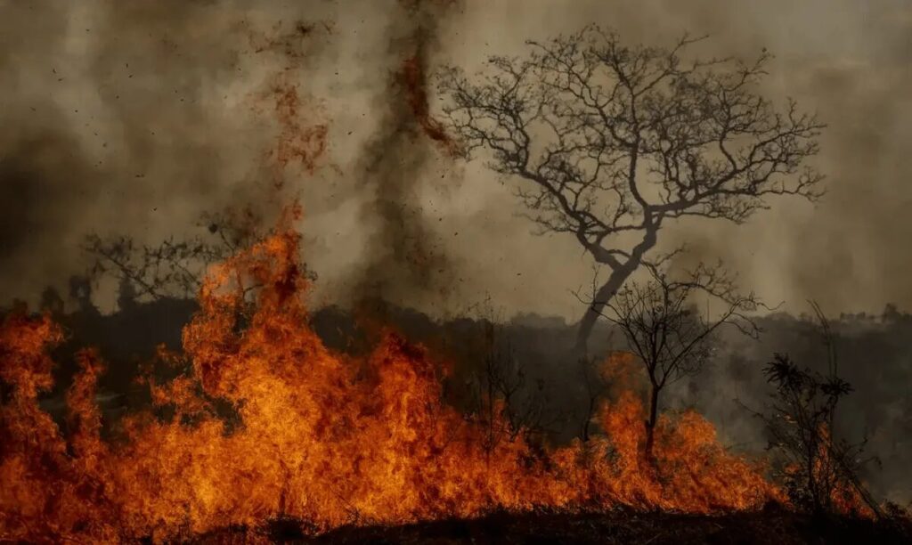 Queimadas no Brasil têm 64 mil focos em 48 horas e afetam lavouras