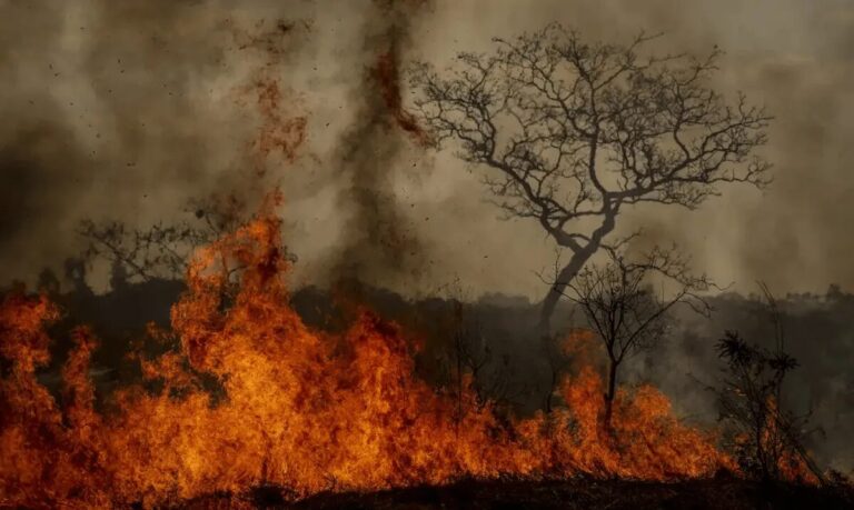 Queimadas no Brasil têm 64 mil focos em 48 horas e afetam lavouras